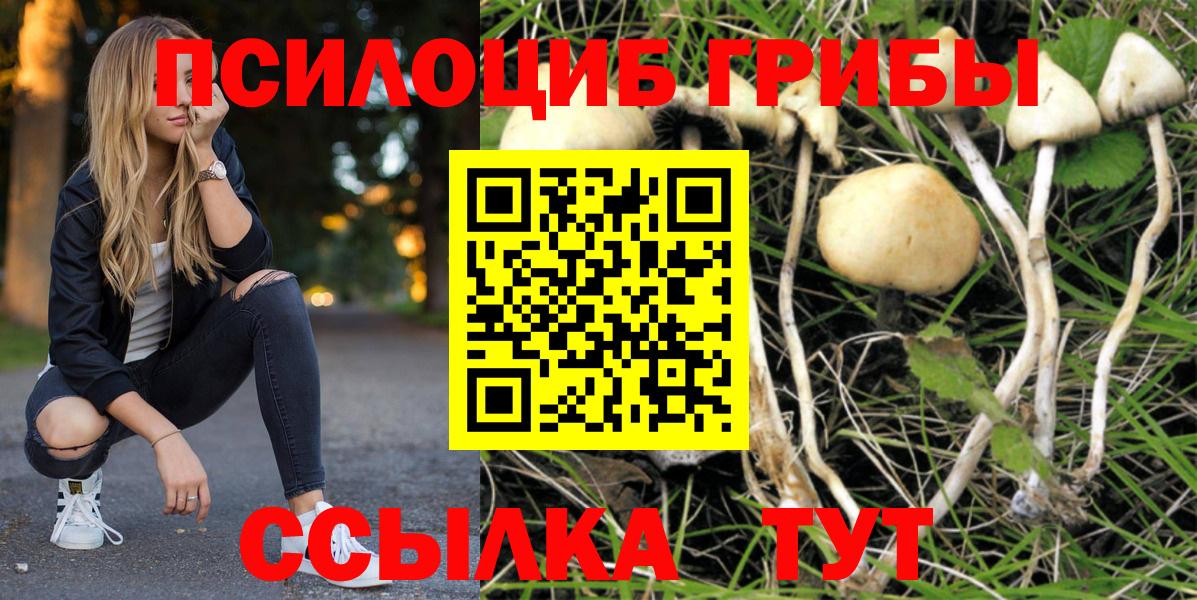 Галлюциногенные грибы мухоморы Петропавловск-Камчатский