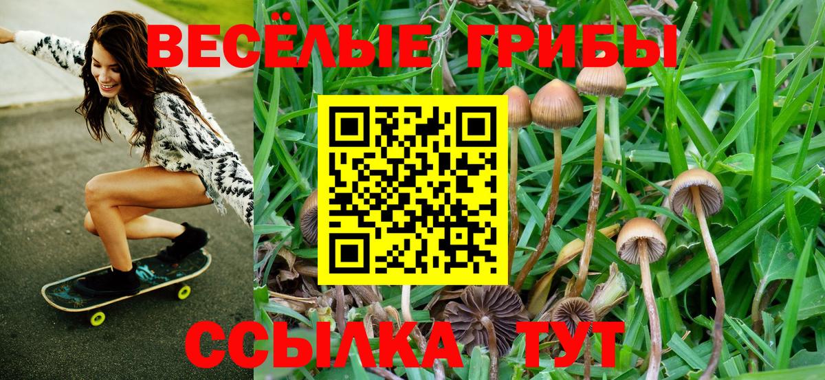 Петропавловск-Камчатский  Псилоцибиновые грибы Psilocybe  Вход с VPN  Псилоцибиновые грибы мухоморы 